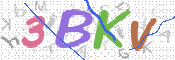 CAPTCHA (Şahıs Denetim Kodu) Resmi