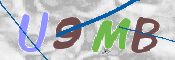 CAPTCHA (Şahıs Denetim Kodu) Resmi