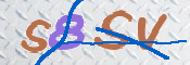 CAPTCHA (Şahıs Denetim Kodu) Resmi