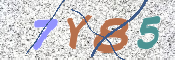 CAPTCHA (Şahıs Denetim Kodu) Resmi