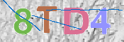 CAPTCHA (Şahıs Denetim Kodu) Resmi