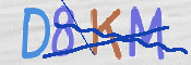 CAPTCHA (Şahıs Denetim Kodu) Resmi