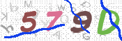 CAPTCHA (Şahıs Denetim Kodu) Resmi