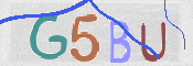CAPTCHA (Şahıs Denetim Kodu) Resmi
