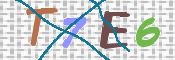CAPTCHA (Şahıs Denetim Kodu) Resmi