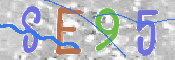 CAPTCHA (Şahıs Denetim Kodu) Resmi