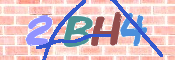 CAPTCHA (Şahıs Denetim Kodu) Resmi