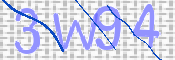 CAPTCHA (Şahıs Denetim Kodu) Resmi
