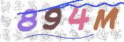 CAPTCHA (Şahıs Denetim Kodu) Resmi