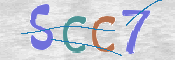 CAPTCHA (Şahıs Denetim Kodu) Resmi