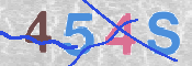 CAPTCHA (Şahıs Denetim Kodu) Resmi