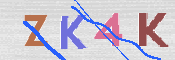 CAPTCHA (Şahıs Denetim Kodu) Resmi