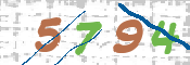 CAPTCHA (Şahıs Denetim Kodu) Resmi
