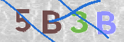 CAPTCHA (Şahıs Denetim Kodu) Resmi