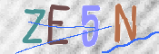 CAPTCHA (Şahıs Denetim Kodu) Resmi