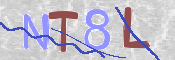 CAPTCHA (Şahıs Denetim Kodu) Resmi