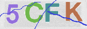 CAPTCHA (Şahıs Denetim Kodu) Resmi
