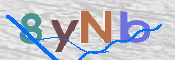 CAPTCHA (Şahıs Denetim Kodu) Resmi