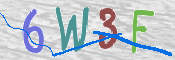 CAPTCHA (Şahıs Denetim Kodu) Resmi