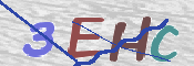 CAPTCHA (Şahıs Denetim Kodu) Resmi