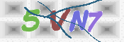 CAPTCHA (Şahıs Denetim Kodu) Resmi