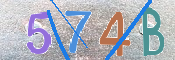 CAPTCHA (Şahıs Denetim Kodu) Resmi