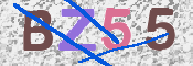 CAPTCHA (Şahıs Denetim Kodu) Resmi
