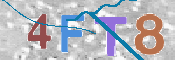 CAPTCHA (Şahıs Denetim Kodu) Resmi