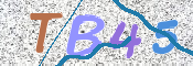 CAPTCHA (Şahıs Denetim Kodu) Resmi