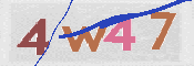 CAPTCHA (Şahıs Denetim Kodu) Resmi