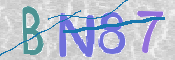 CAPTCHA (Şahıs Denetim Kodu) Resmi