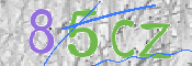 CAPTCHA (Şahıs Denetim Kodu) Resmi