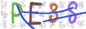 CAPTCHA (Şahıs Denetim Kodu) Resmi