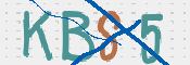 CAPTCHA (Şahıs Denetim Kodu) Resmi