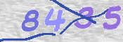 CAPTCHA (Şahıs Denetim Kodu) Resmi