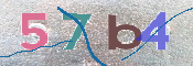 CAPTCHA (Şahıs Denetim Kodu) Resmi