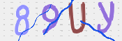 CAPTCHA (Şahıs Denetim Kodu) Resmi