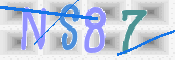 CAPTCHA (Şahıs Denetim Kodu) Resmi