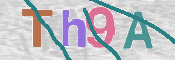 CAPTCHA (Şahıs Denetim Kodu) Resmi