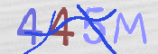 CAPTCHA (Şahıs Denetim Kodu) Resmi