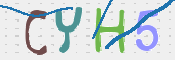 CAPTCHA (Şahıs Denetim Kodu) Resmi