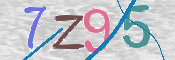 CAPTCHA (Şahıs Denetim Kodu) Resmi