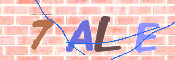 CAPTCHA (Şahıs Denetim Kodu) Resmi