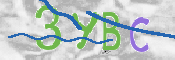CAPTCHA (Şahıs Denetim Kodu) Resmi