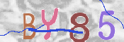 CAPTCHA (Şahıs Denetim Kodu) Resmi