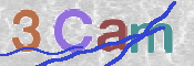 CAPTCHA (Şahıs Denetim Kodu) Resmi