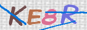 CAPTCHA (Şahıs Denetim Kodu) Resmi