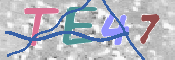 CAPTCHA (Şahıs Denetim Kodu) Resmi