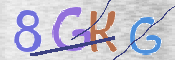 CAPTCHA (Şahıs Denetim Kodu) Resmi