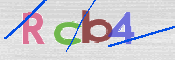 CAPTCHA (Şahıs Denetim Kodu) Resmi